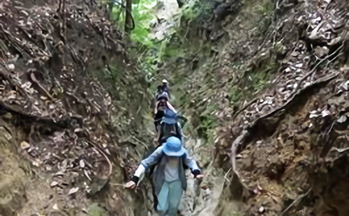 鎌倉仏教を興した僧たちが歩んだ比叡への山道 雲母坂 きららざか を登る を開催しました 京都伝統文化の森プロジェクト
